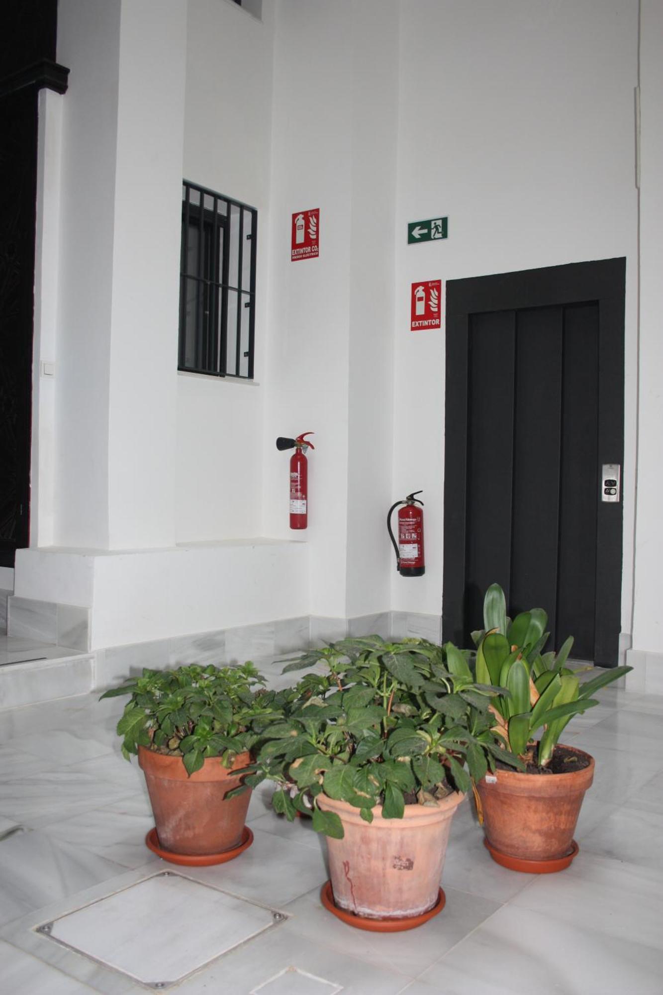 San Luis Downtown & Pool Apartment Sevilla Kültér fotó